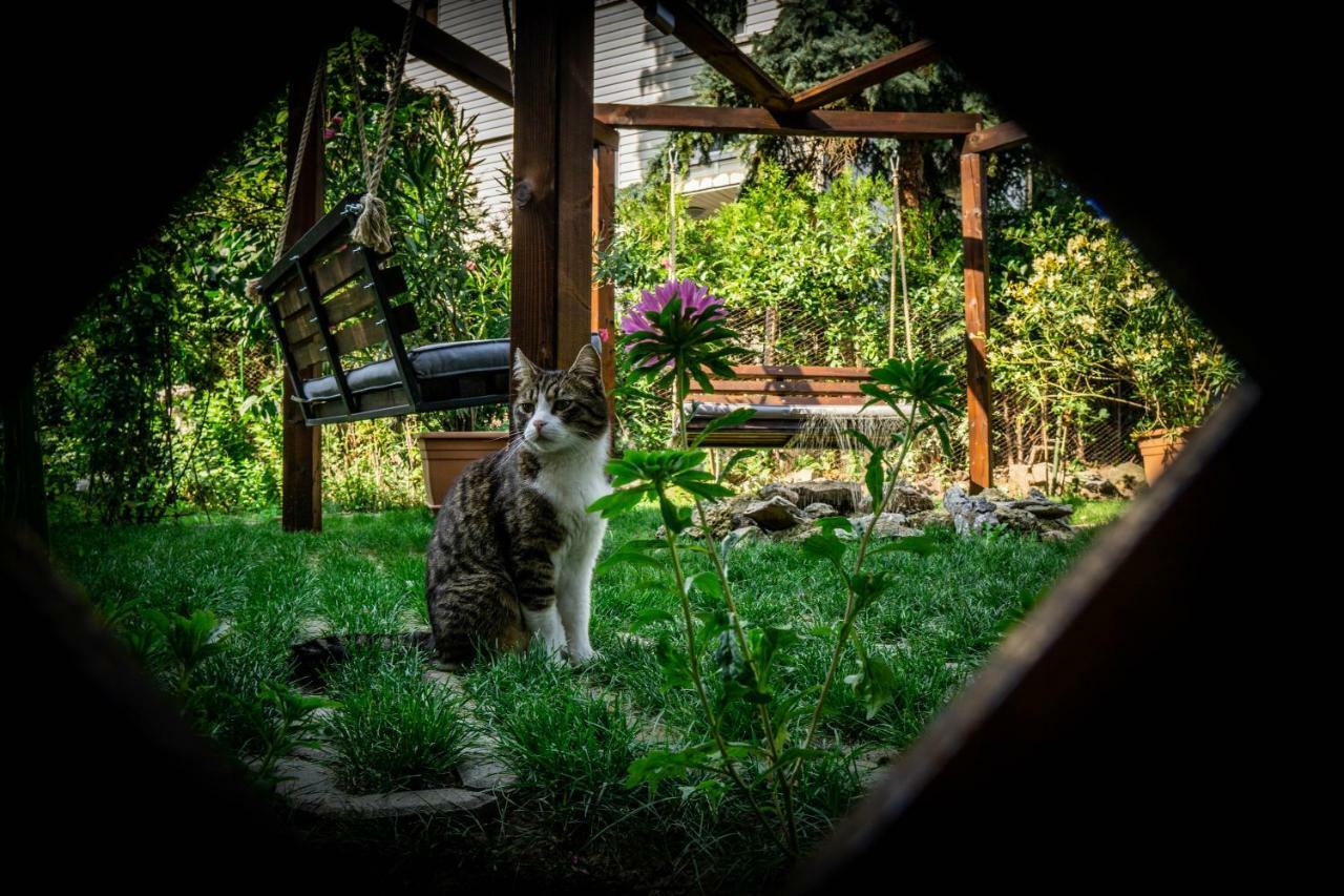 Апартамент За Гости " Александра" Sofya Dış mekan fotoğraf